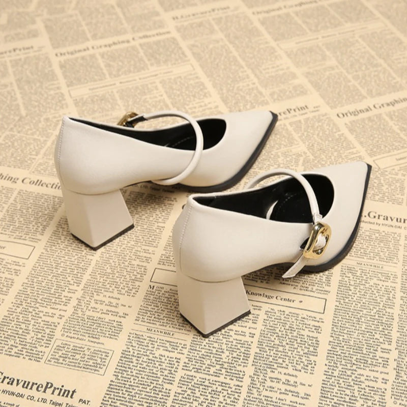 Designer Spring Pointed Toe Women Mary Jane Shoes Fashion Shallow Belt Buckle Shoes Elegant Thick Heel Dress Leather Shoes