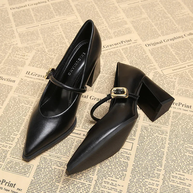 Designer Spring Pointed Toe Women Mary Jane Shoes Fashion Shallow Belt Buckle Shoes Elegant Thick Heel Dress Leather Shoes