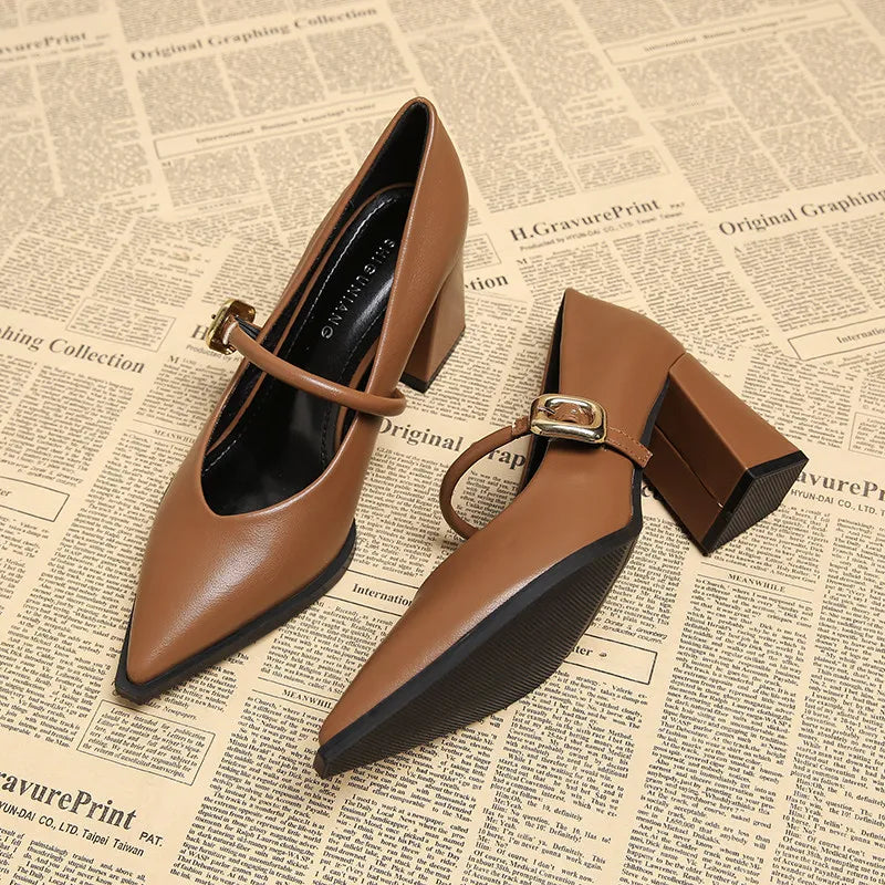 Designer Spring Pointed Toe Women Mary Jane Shoes Fashion Shallow Belt Buckle Shoes Elegant Thick Heel Dress Leather Shoes