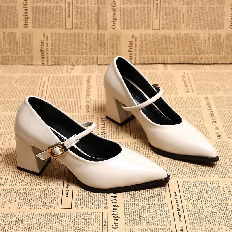 Designer Spring Pointed Toe Women Mary Jane Shoes Fashion Shallow Belt Buckle Shoes Elegant Thick Heel Dress Leather Shoes