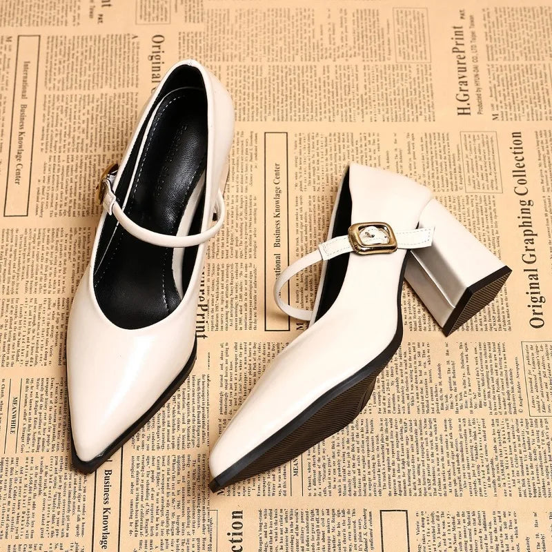 Designer Spring Pointed Toe Women Mary Jane Shoes Fashion Shallow Belt Buckle Shoes Elegant Thick Heel Dress Leather Shoes