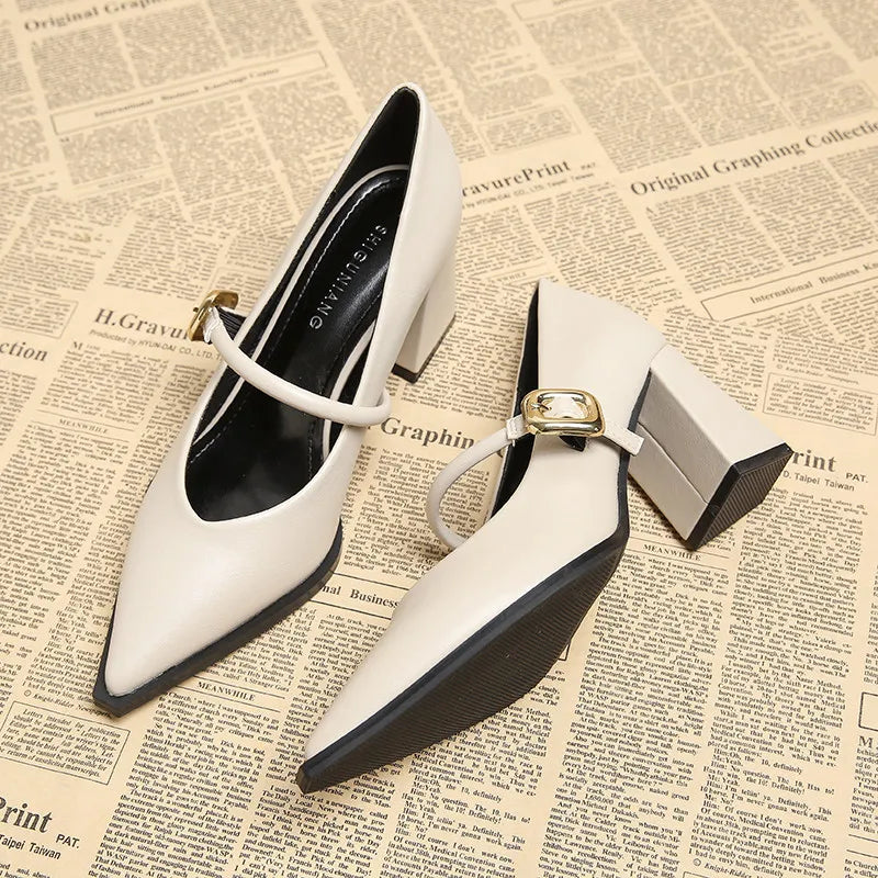 Designer Spring Pointed Toe Women Mary Jane Shoes Fashion Shallow Belt Buckle Shoes Elegant Thick Heel Dress Leather Shoes