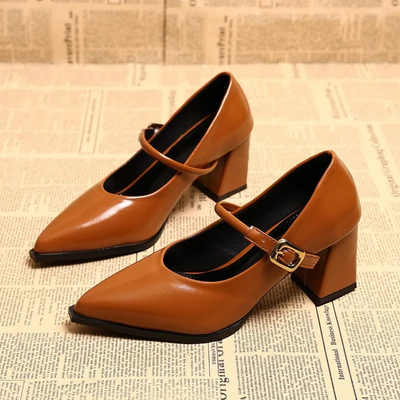 Designer Spring Pointed Toe Women Mary Jane Shoes Fashion Shallow Belt Buckle Shoes Elegant Thick Heel Dress Leather Shoes