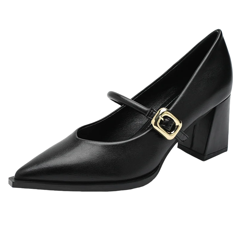 Designer Spring Pointed Toe Women Mary Jane Shoes Fashion Shallow Belt Buckle Shoes Elegant Thick Heel Dress Leather Shoes