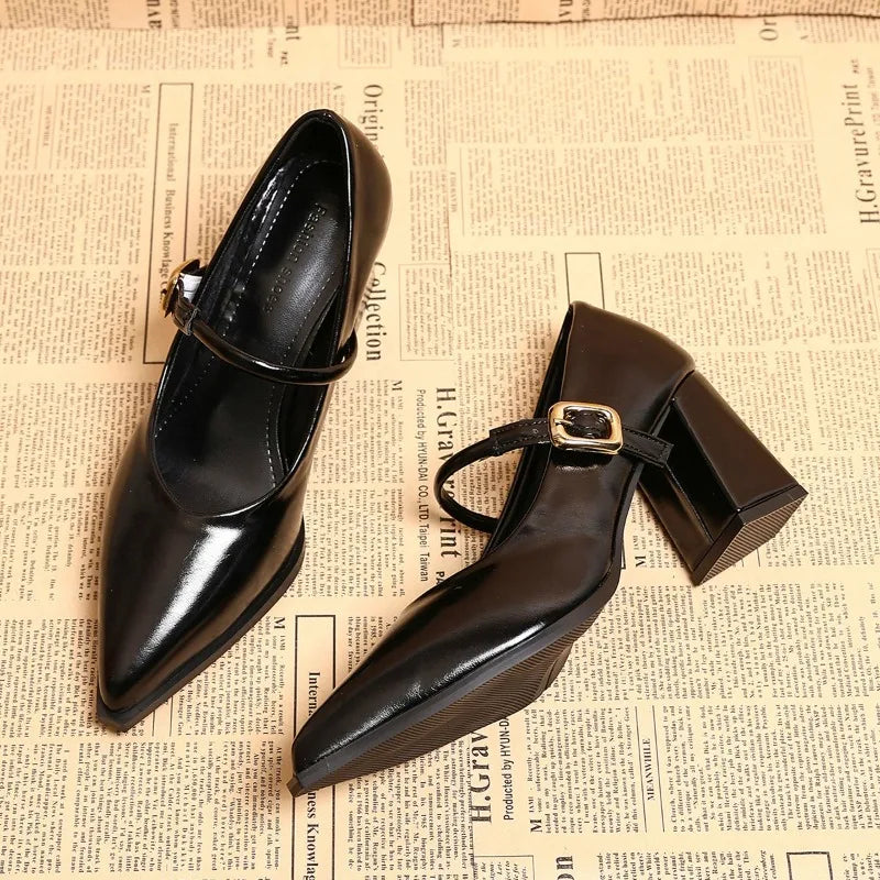 Designer Spring Pointed Toe Women Mary Jane Shoes Fashion Shallow Belt Buckle Shoes Elegant Thick Heel Dress Leather Shoes