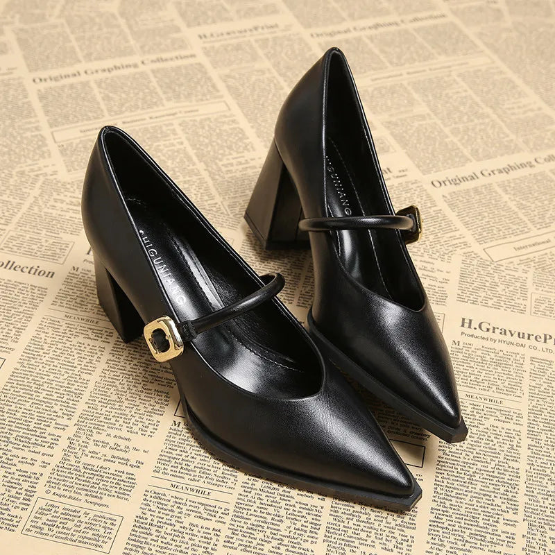Designer Spring Pointed Toe Women Mary Jane Shoes Fashion Shallow Belt Buckle Shoes Elegant Thick Heel Dress Leather Shoes